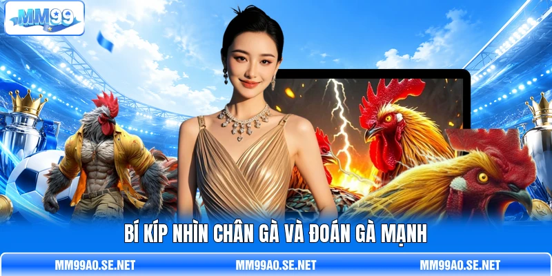 Bí kíp nhìn chân gà và đoán gà mạnh