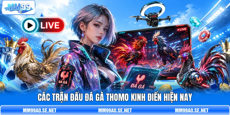 Các trận đấu đá gà Thomo kinh điển hiện nay
