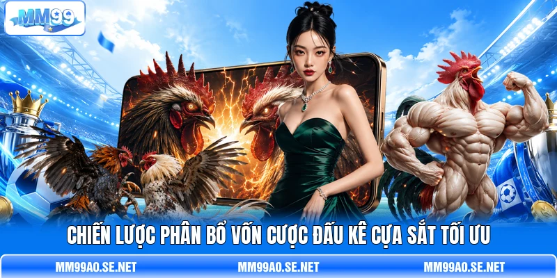 Chiến lược phân bổ vốn cược đấu kê cựa sắt tối ưu Chiến lược phân bổ vốn cược đấu kê cựa sắt tối ưu