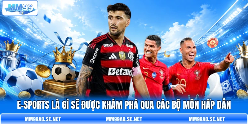 E-Sports là gì sẽ được khám phá qua các bộ môn hấp dẫn E-Sports là gì sẽ được khám phá qua các bộ môn hấp dẫn