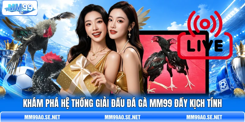 Khám phá hệ thống giải đấu đá gà MM99 đầy kịch tính