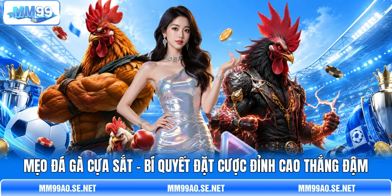 Mẹo Đá Gà Cựa Sắt - Bí Quyết Đặt Cược Đỉnh Cao Thắng Đậm
