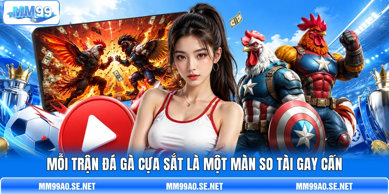 Mỗi trận đá gà cựa sắt là một màn so tài gay cấn Mỗi trận đá gà cựa sắt là một màn so tài gay cấn