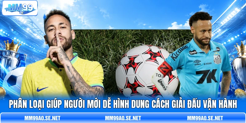 Phân loại giúp người mới dễ hình dung cách giải đấu vận hành Phân loại giúp người mới dễ hình dung cách giải đấu vận hành