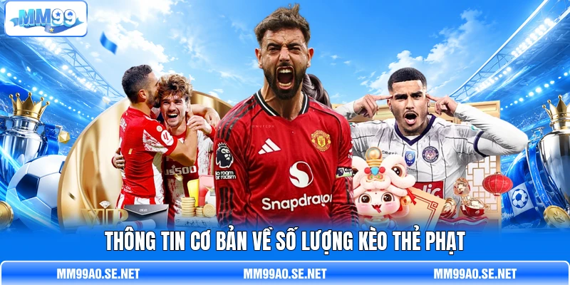 Thông tin cơ bản về số lượng kèo thẻ phạt