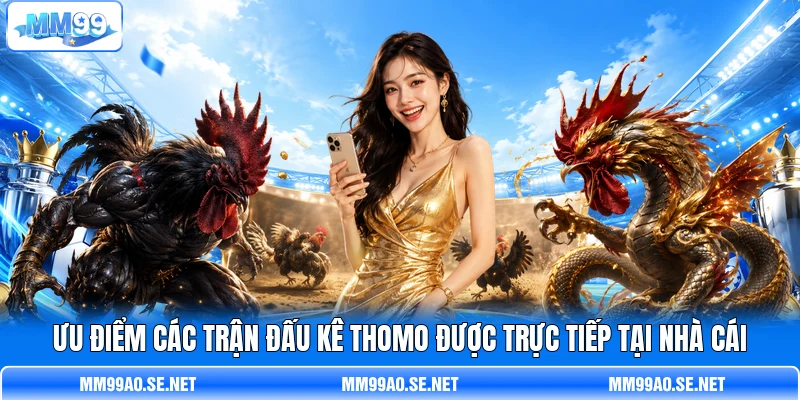 Ưu điểm các trận đấu kê Thomo được trực tiếp tại nhà cái